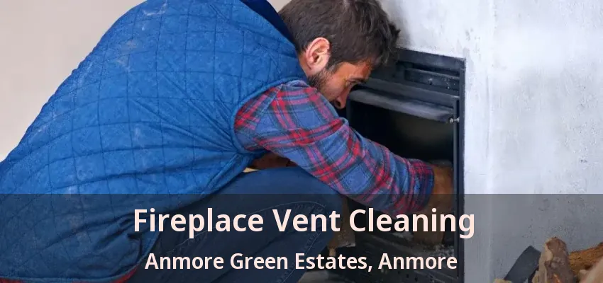 Fireplace Vent Cleaning Anmore Green Estates, Anmore - BC