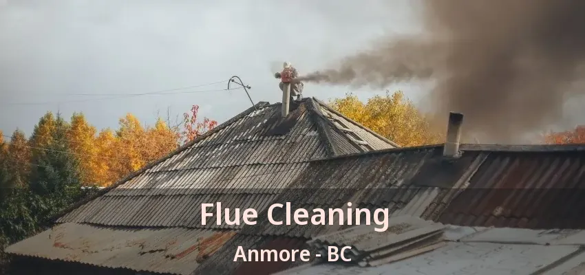 Flue Cleaning Anmore - BC