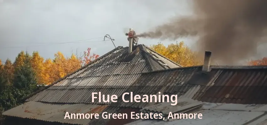 Flue Cleaning Anmore Green Estates, Anmore - BC