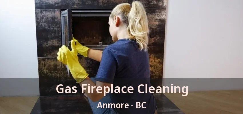 Gas Fireplace Cleaning Anmore - BC