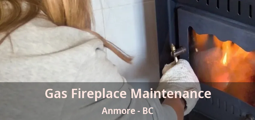 Gas Fireplace Maintenance Anmore - BC