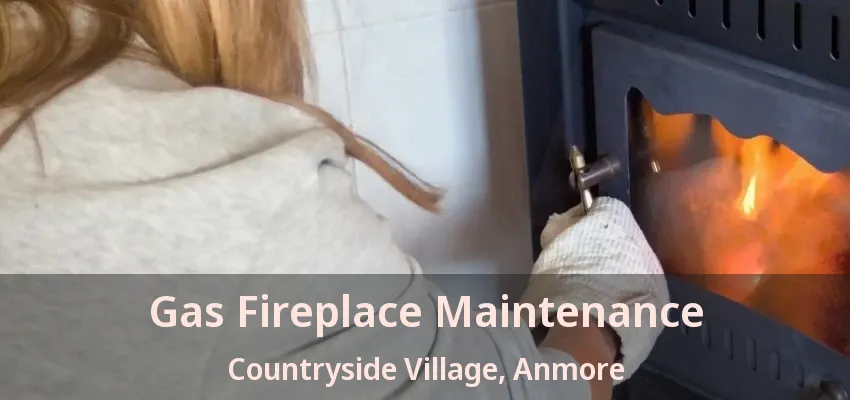 Gas Fireplace Maintenance Countryside Village, Anmore - BC