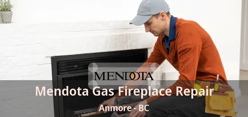 Mendota Gas Fireplace Repair Anmore - BC