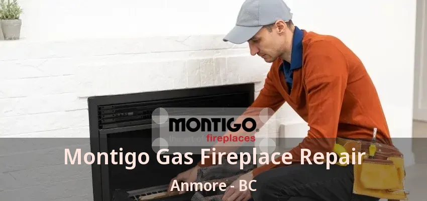 Montigo Gas Fireplace Repair Anmore - BC