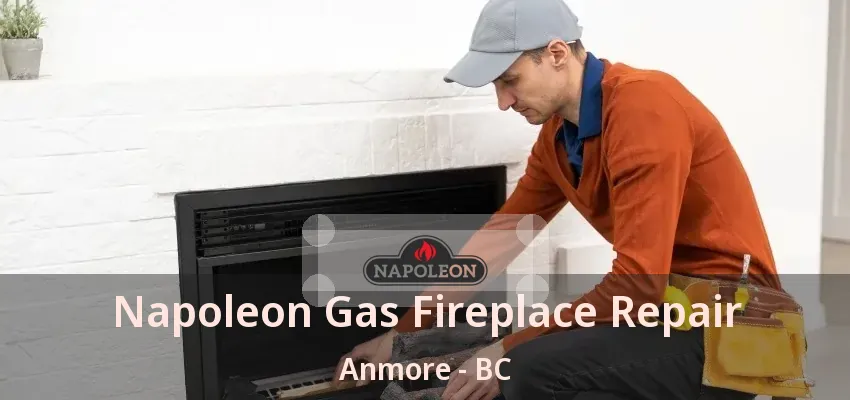Napoleon Gas Fireplace Repair Anmore - BC