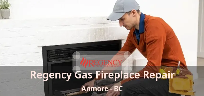 Regency Gas Fireplace Repair Anmore - BC
