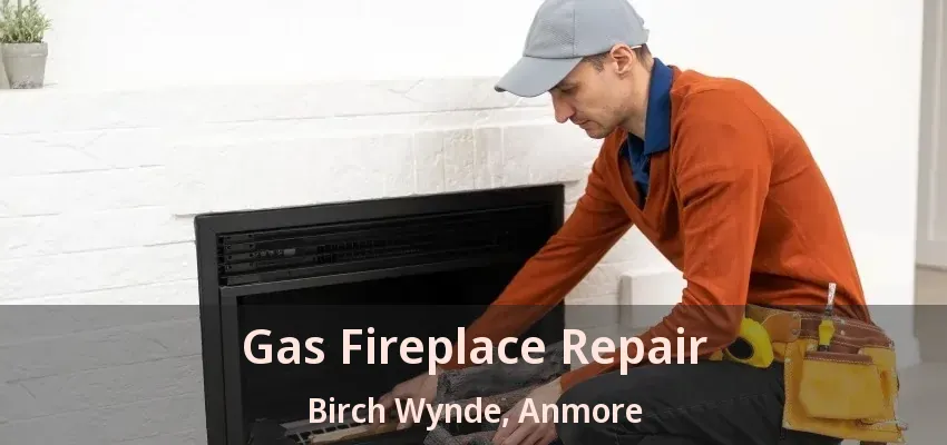 Gas Fireplace Repair Birch Wynde, Anmore - BC