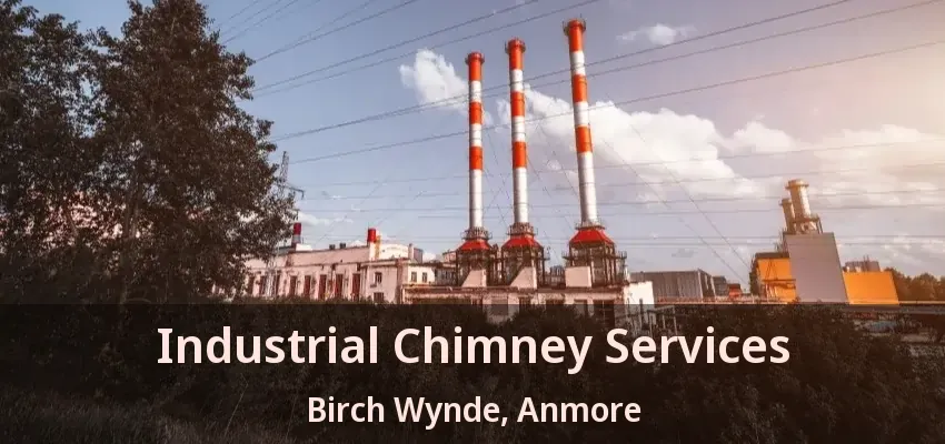 Industrial Chimney Services Birch Wynde, Anmore - BC