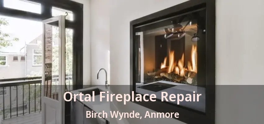 Ortal Fireplace Repair Birch Wynde, Anmore - BC