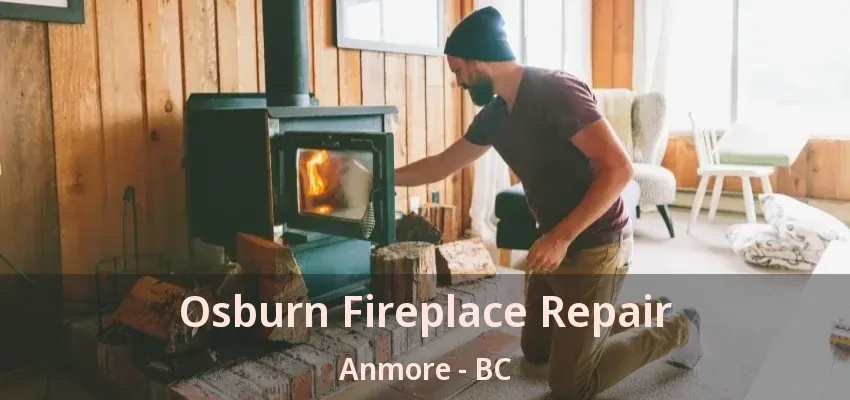Osburn Fireplace Repair Anmore - BC