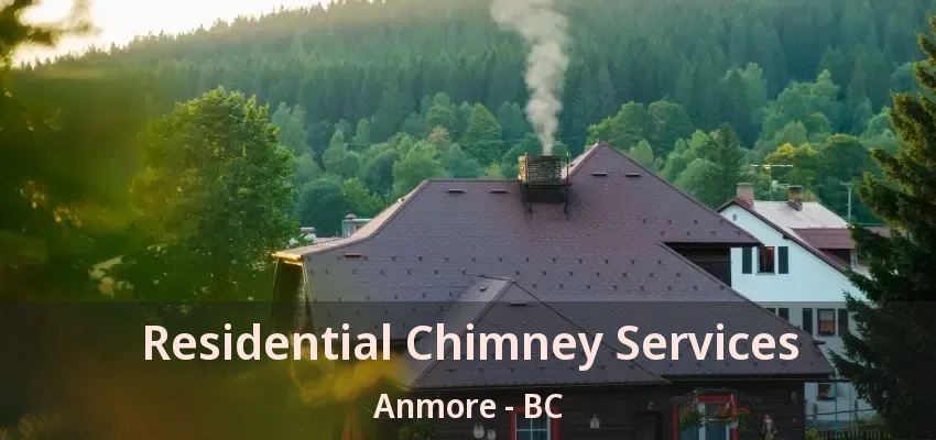 Residential Chimney Services Anmore - BC