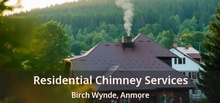 Residential Chimney Services Birch Wynde, Anmore - BC