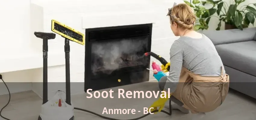 Soot Removal Anmore - BC