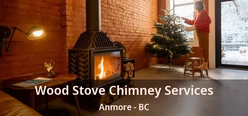 Wood Stove Chimney Services Anmore - BC
