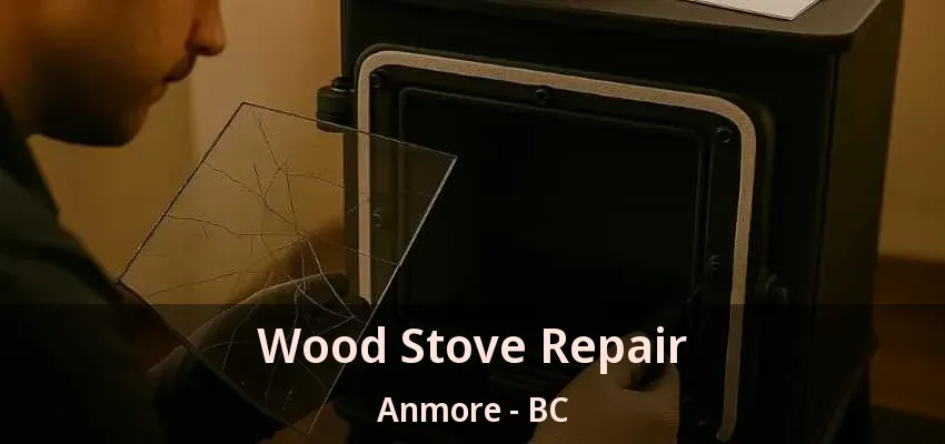 Wood Stove Repair Anmore - BC