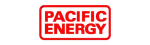 Pacific Energy Ortal Fireplace Repair in Anmore